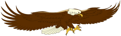 flying eagle